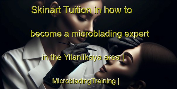 Skinart Tuition in how to become a microblading expert in the Yilanlikaya area | MicrobladingTraining | MicrobladingClasses | SkinartTraining-Turkey